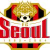 FC首尔 FC首尔